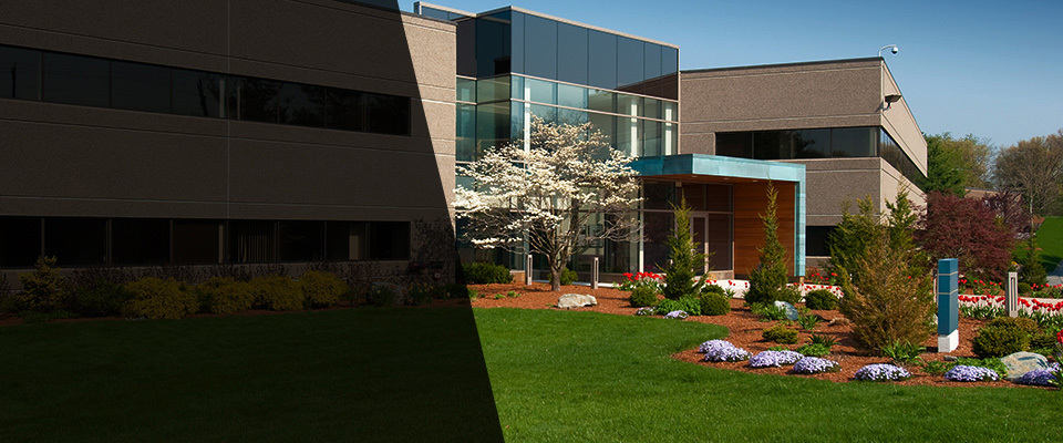 Los Lunas Landscapers