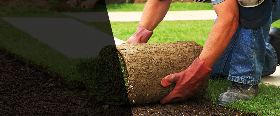 Los Lunas Landscapers